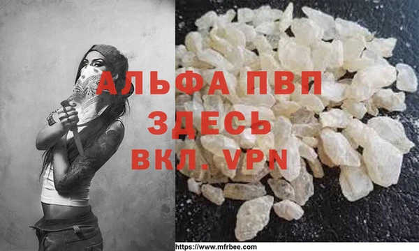 сатива Бронницы