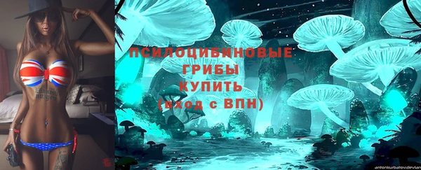 кокс Бородино