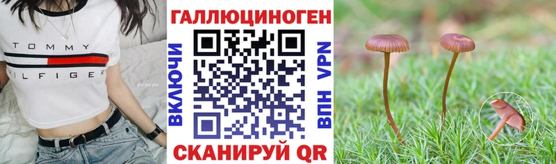 где можно купить   Новороссийск  Псилоцибиновые грибы Magic Shrooms 